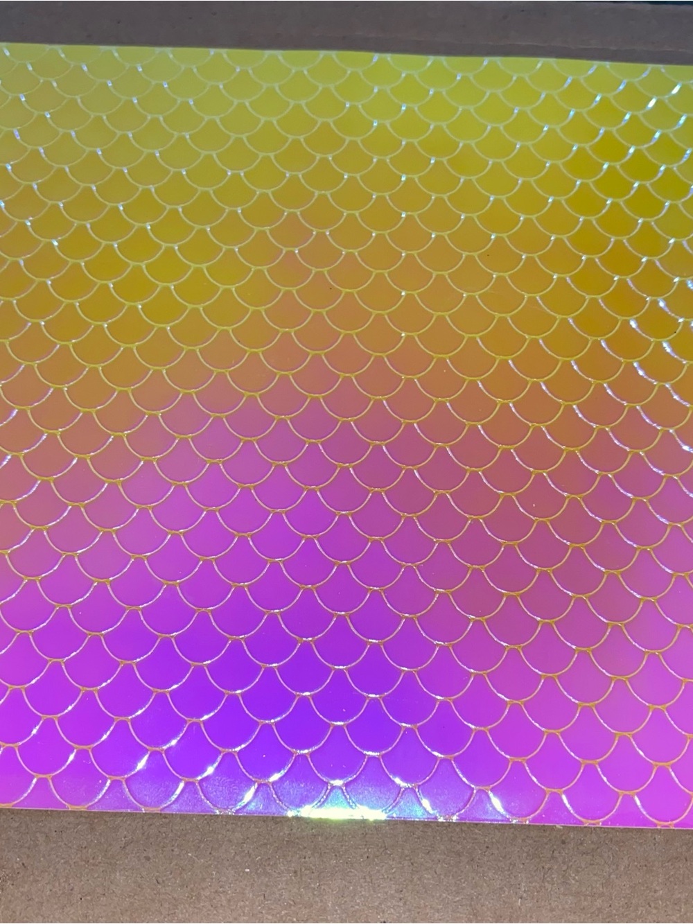 ❤️10/$10❤️ Textured Scale Craft Sheet